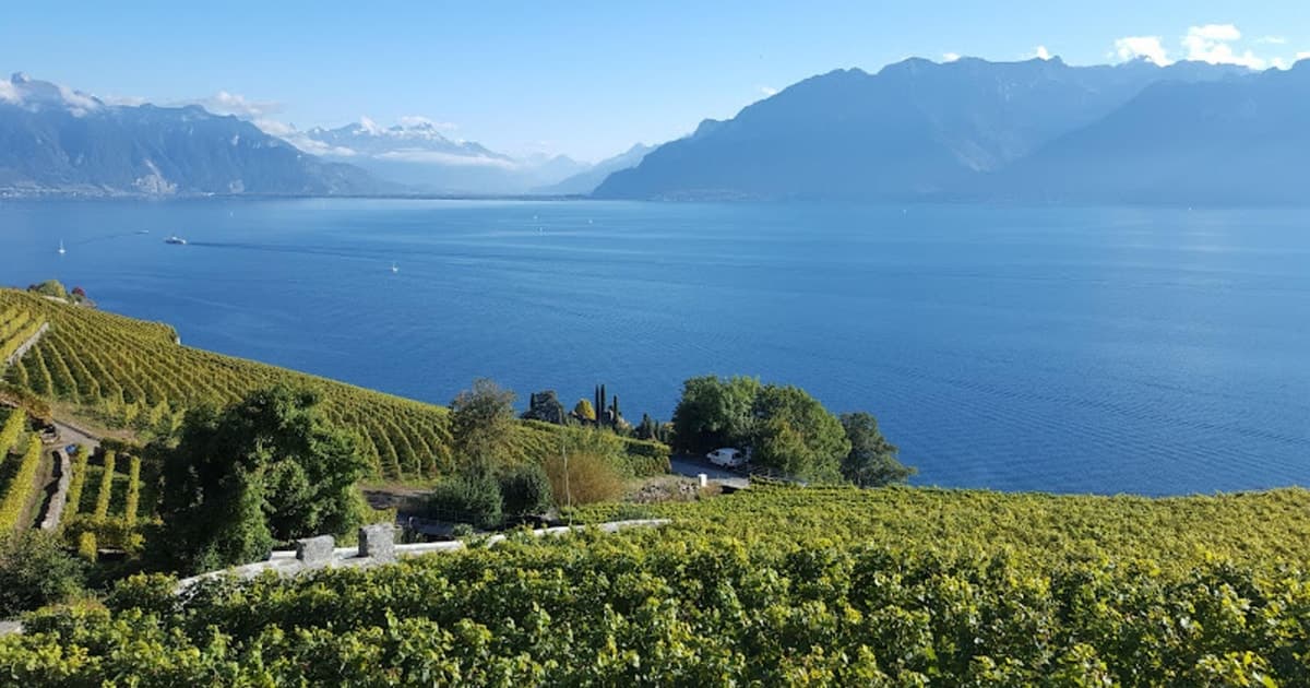 Ginebra: tour de cata de vinos de Lavaux, Chexbres y Valais