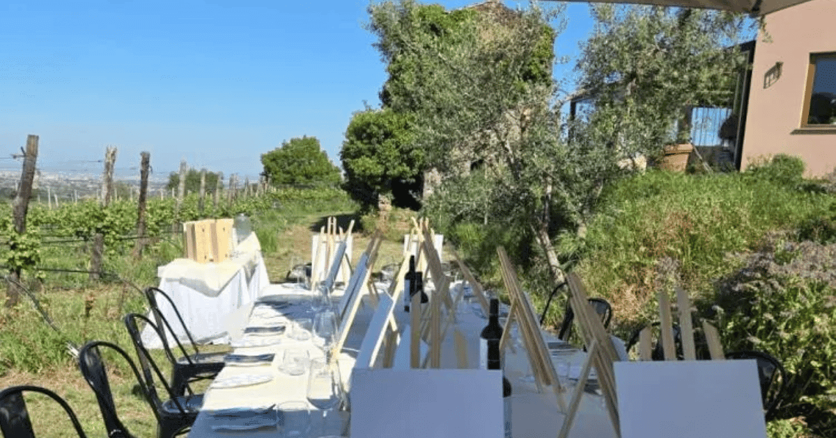 Castelli Romani: 2-Glass Wine Tasting with Painting among the Vineyards
