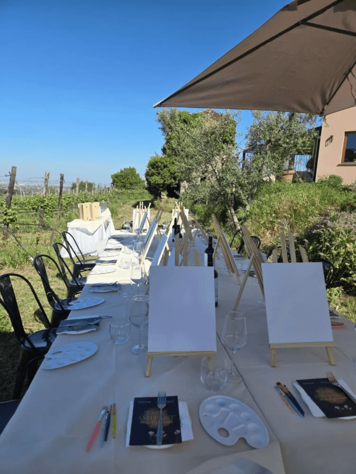 Castelli Romani: 2-Glass Wine Tasting with Painting among the Vineyards