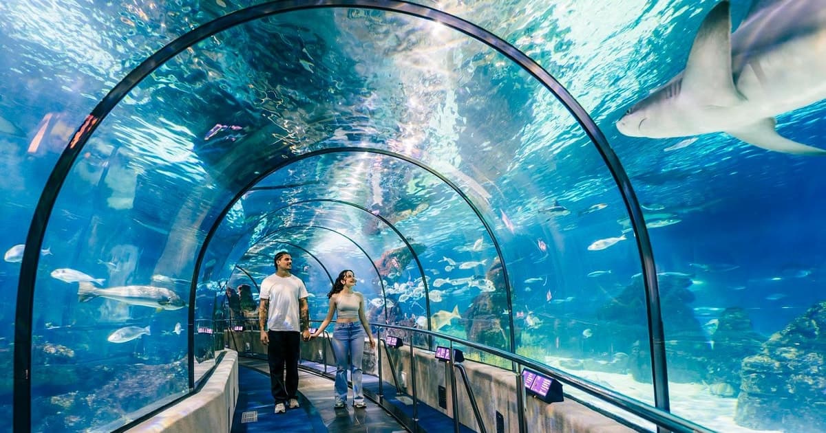 Barcelona: Hop-On Hop-Off Bus & Aquarium Tour