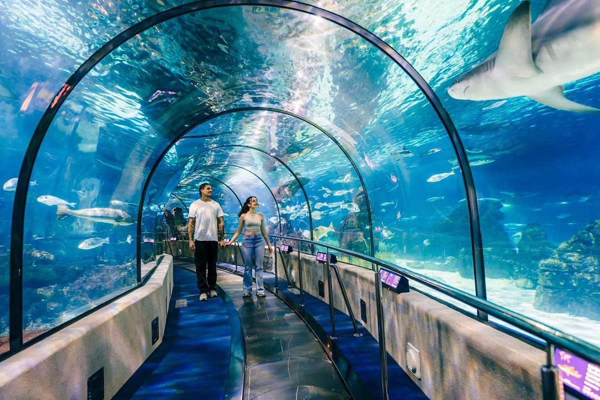 Barcelona: Autobús Hop-On Hop-Off y Tour del Acuario