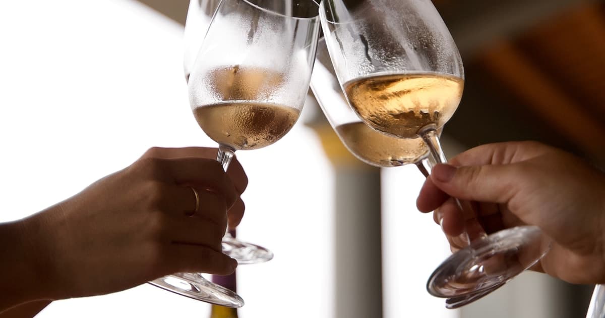 Relaxed Setúbal Wine Tour from Lisbon with Lunch