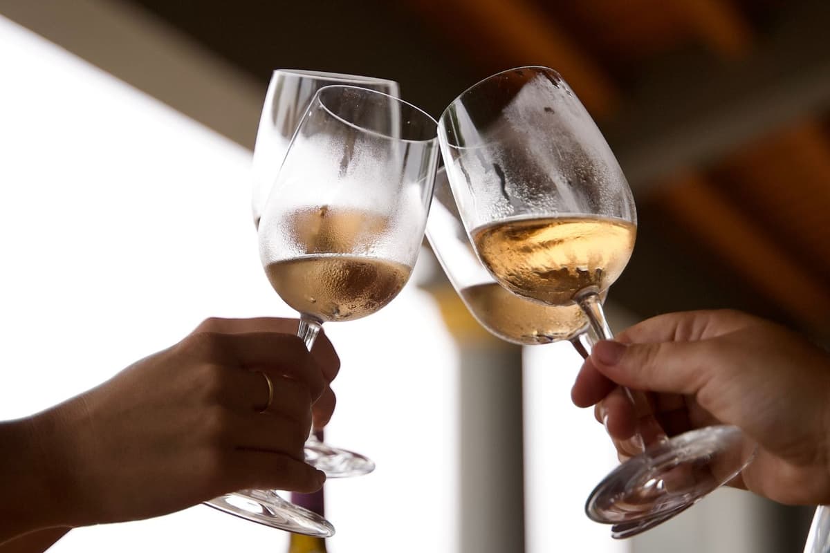 Relaxed Setúbal Wine Tour from Lisbon with Lunch