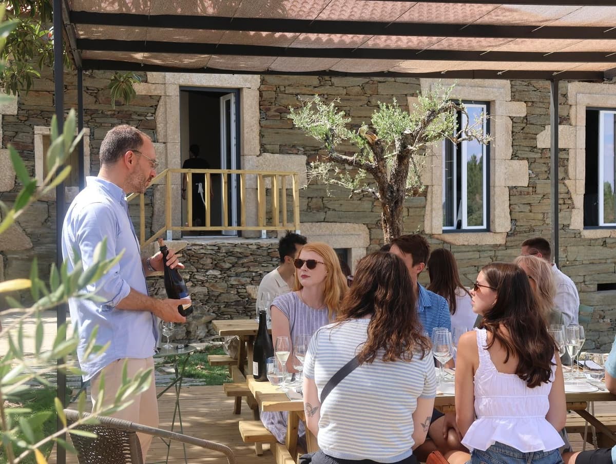 From Porto: Lunch Winery at Douro Valley paired w/ 4 wines