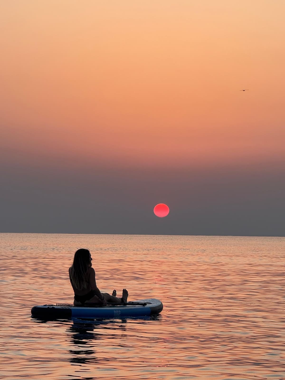 Barcelona: experiencia de surf de remo al amanecer