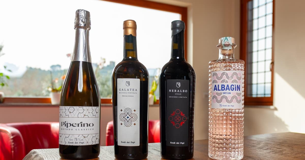 Castelli Romani: Taste 3 premium glasses and a spirit with food pairing