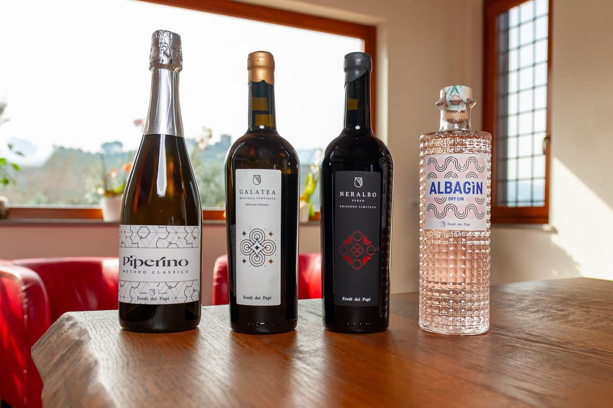 Castelli Romani: Taste 3 premium glasses and a spirit with food pairing