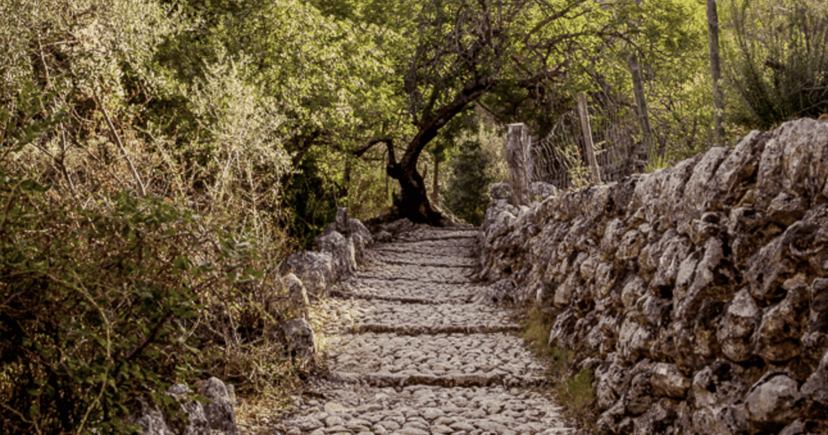Mallorca: ruta de senderismo compartida por el barranco de Biniaraix