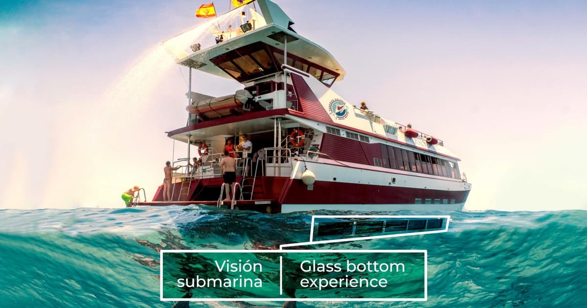 Adeje: Tour de avistamiento de ballenas y delfines con almuerzo y baño