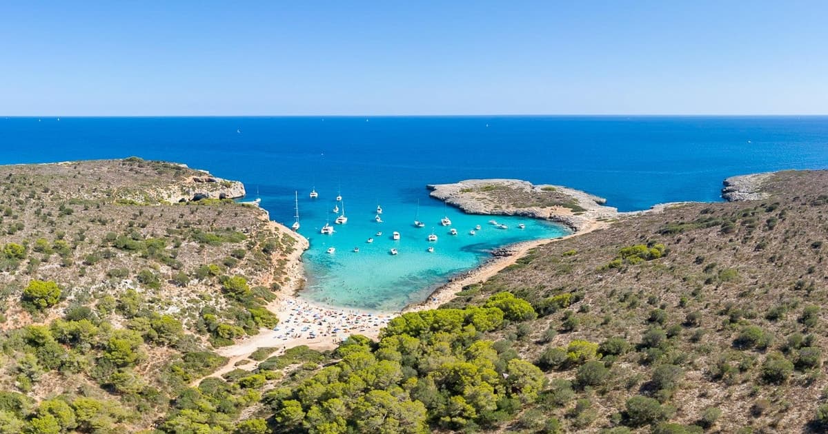 Mallorca: excursión en barco con fondo de cristal - Cuevas & Calas vírgenes