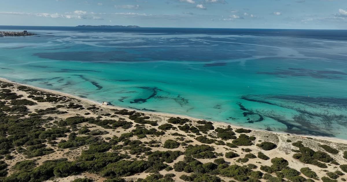 Playa de Palma: Beach Taxi transfer en barco en la costa sur hasta Es Trenc