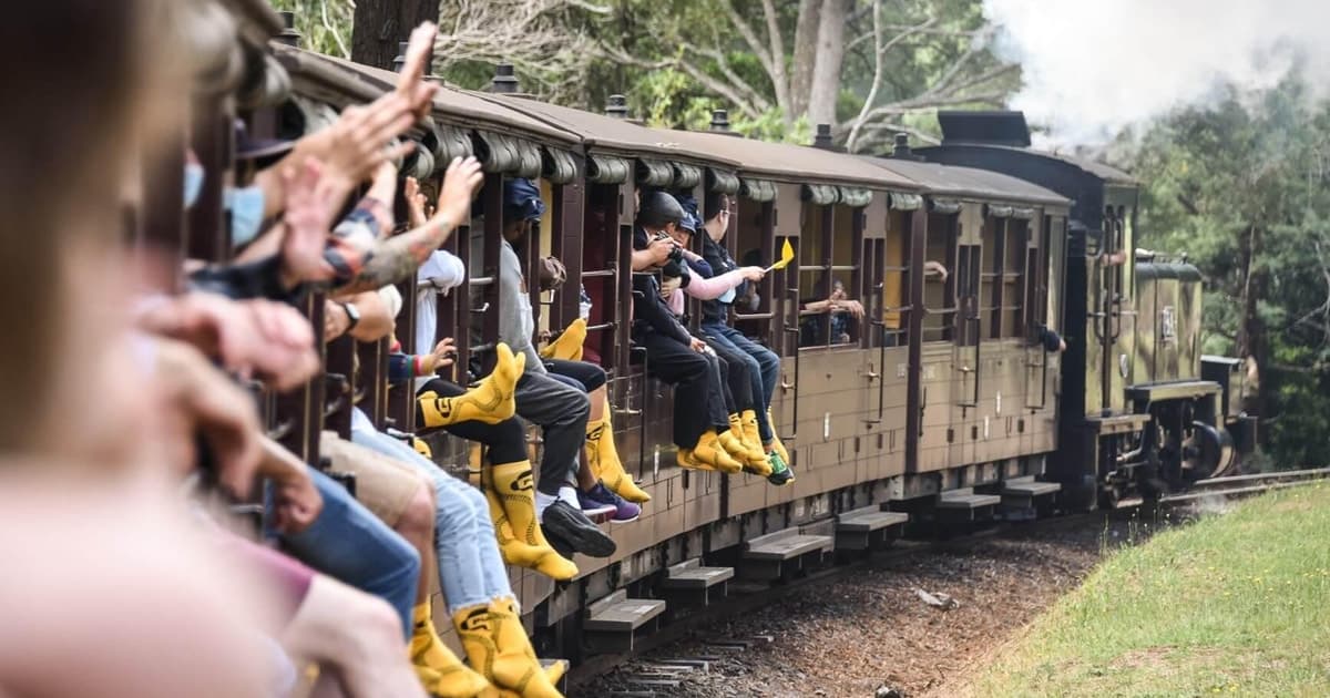 Pick Up from City | Steam Train and Penguin Parade Day Tour