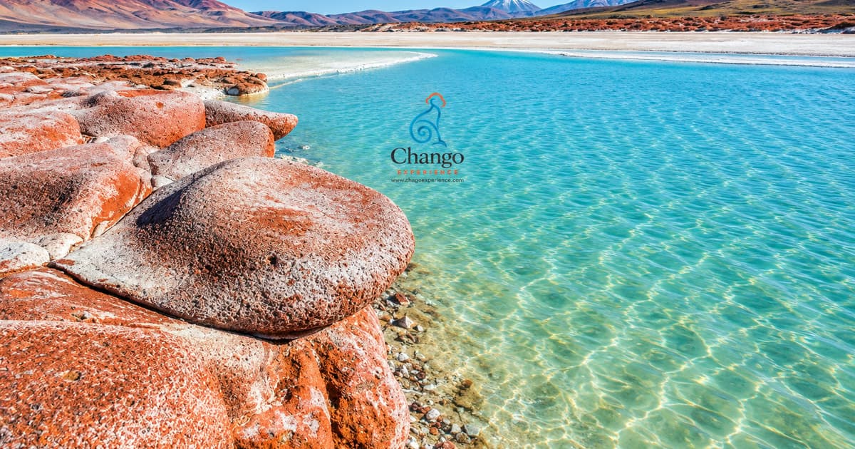 San Pedro de Atacama: Piedras Rojas, Salar de Atacama, lagunas