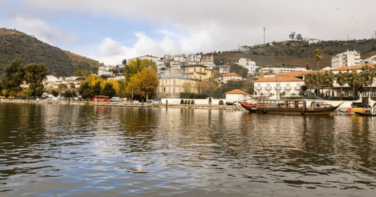 Douro Valley · wine tasting with private cruise and regional lunch
