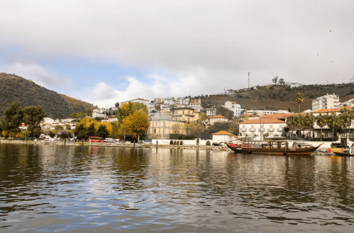 Douro Valley · wine tasting with private cruise and regional lunch