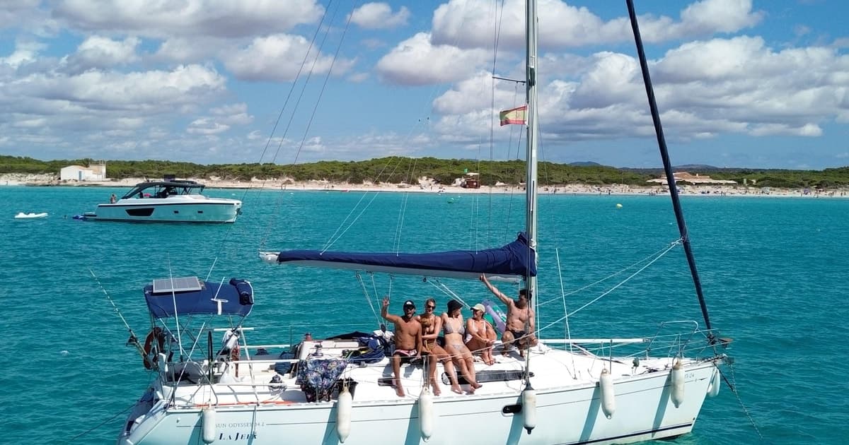 Tour de Barco todo incluido Nuevo