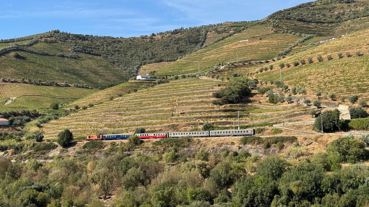 Porto: Douro Valley Train Tour, Cruise, Wine & Lunch