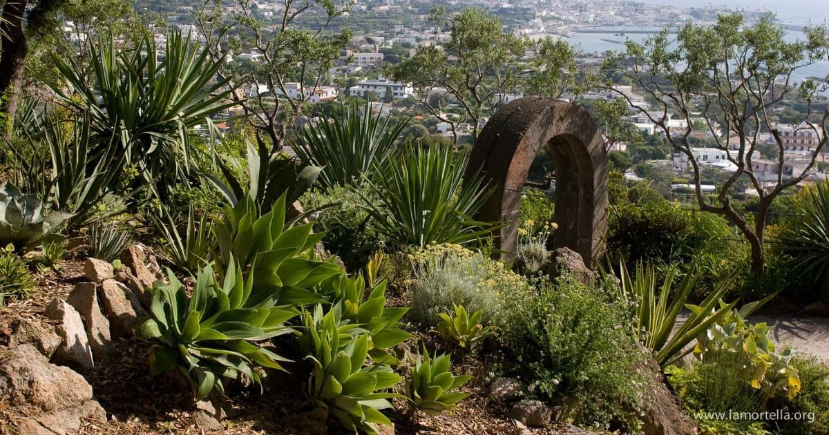 From Naples: Ischia and La Mortella Gardens Day Trip