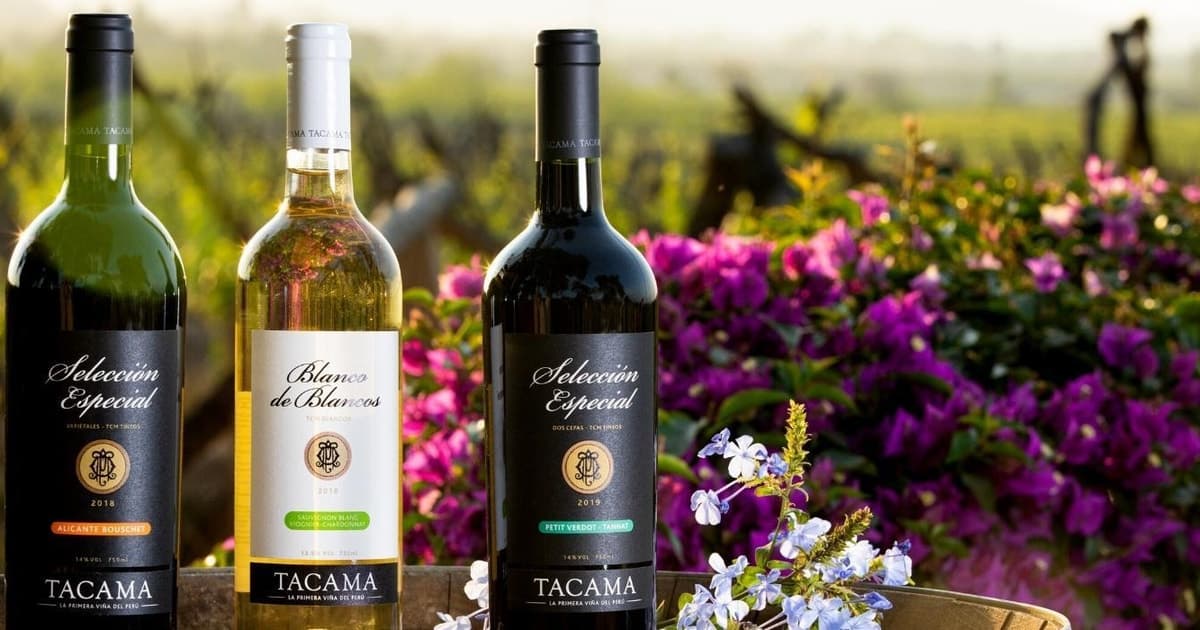 Ica: tour de vino y pisco con degustaciones