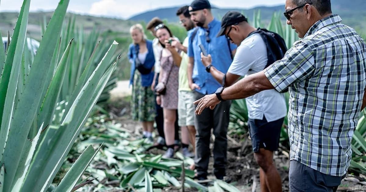 Excursiones desde Oaxaca