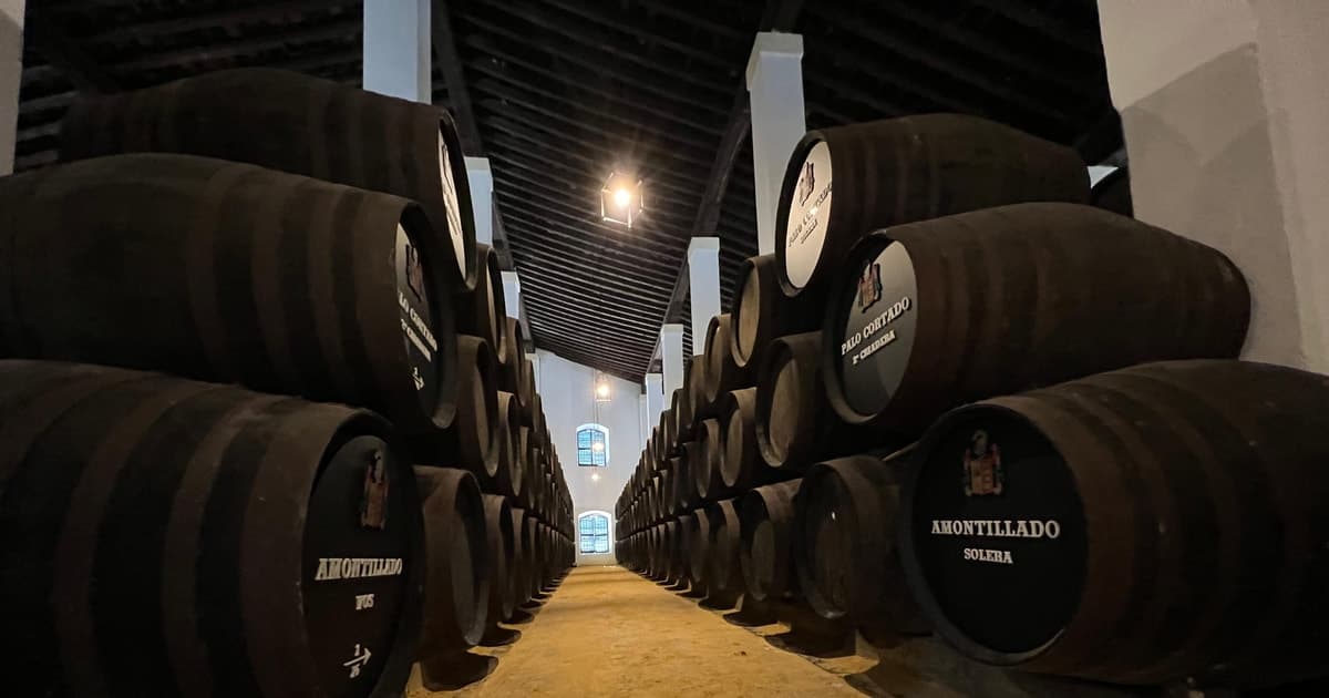 Jerez: Visita guiada a Bodegas con Cata de Vinos