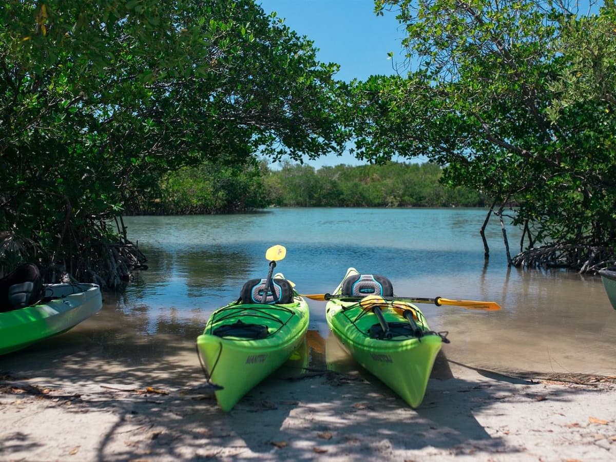 Miami: Oleta River State Park Guided Eco Tour Paddle