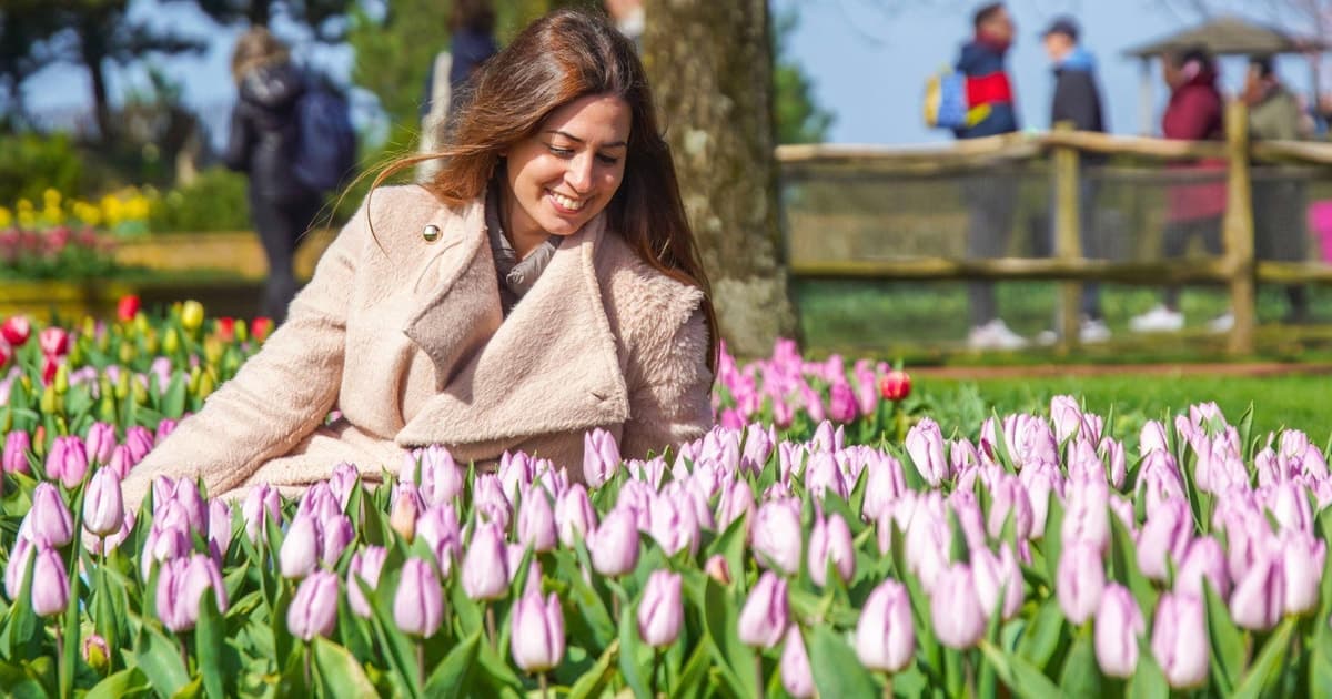 Amsterdam: Keukenhof Tulip Garden and Giethoorn Experience
