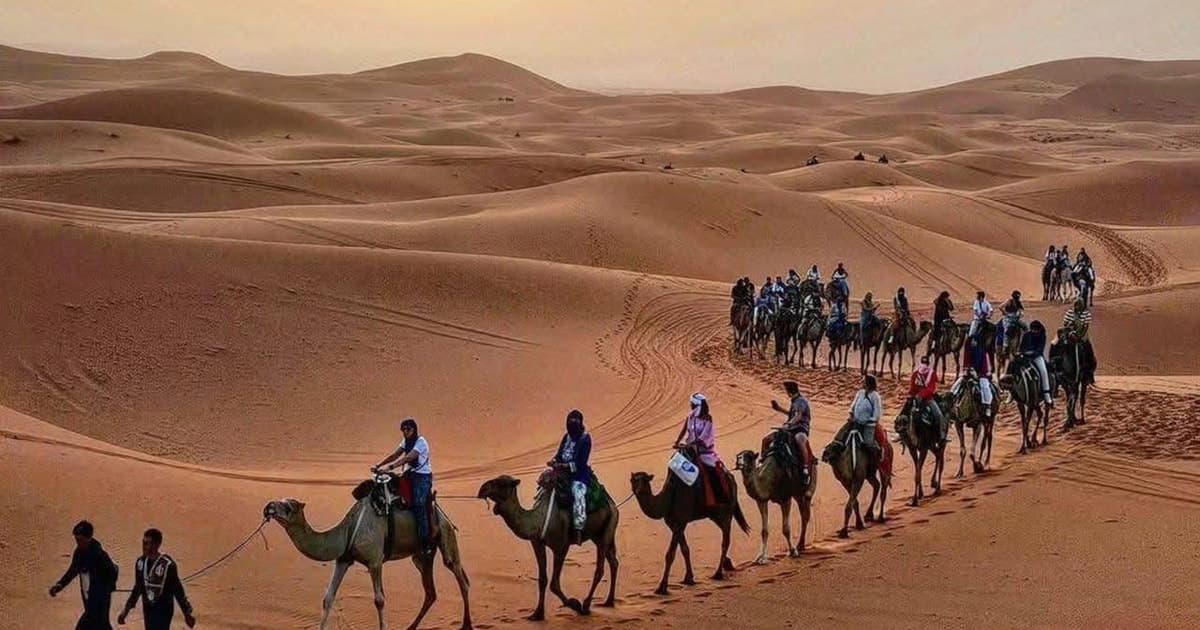 Desde Fez: tour de 2 días a Merzouga y Uarzazat hasta Marrakech