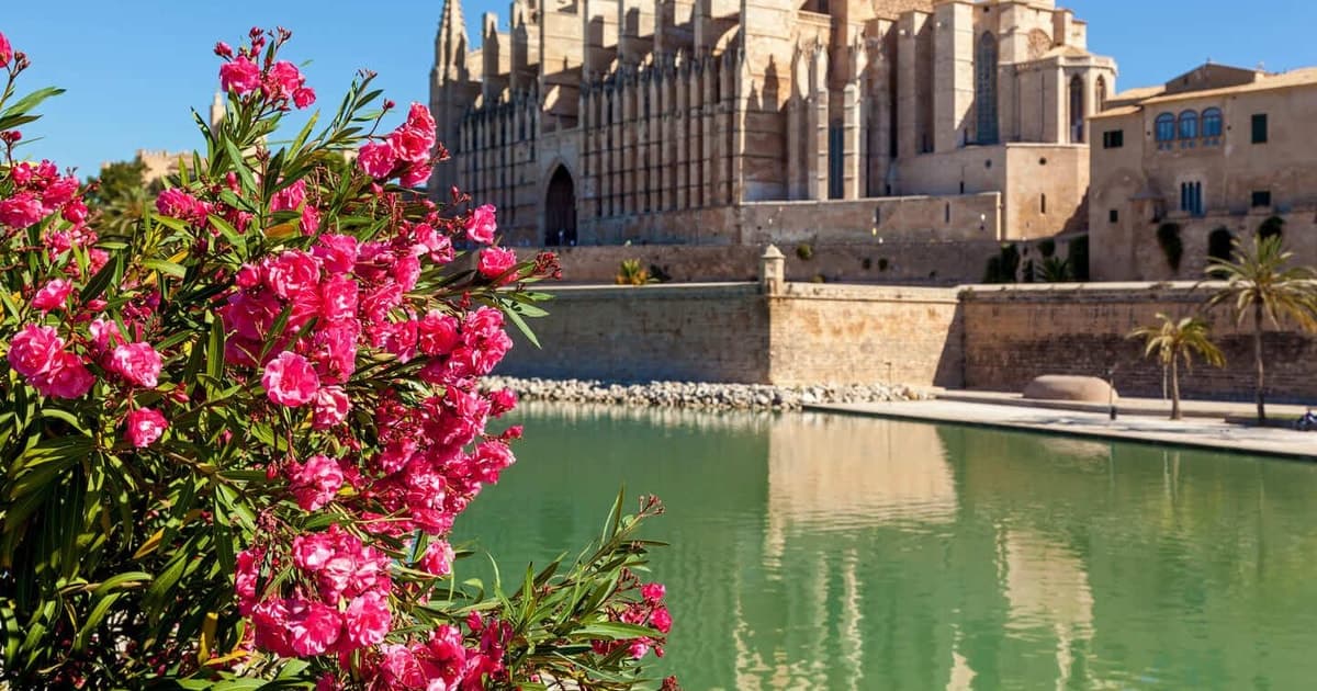 Hola, Palma: tour privado de 2 horas para descubrir la ciudad con guía local