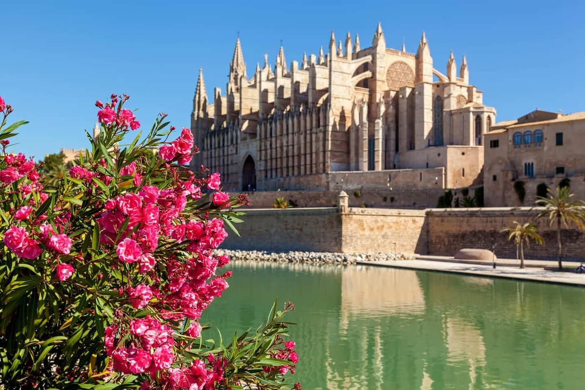 Hola, Palma: tour privado de 2 horas para descubrir la ciudad con guía local