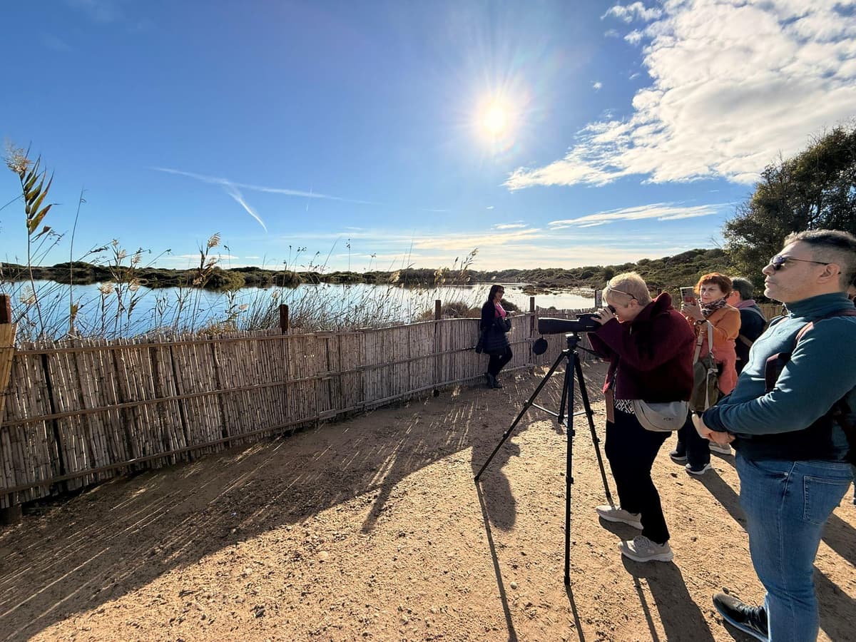 Albufera de Valencia: Bosque Mediterráneo y Navegación por Albujaira