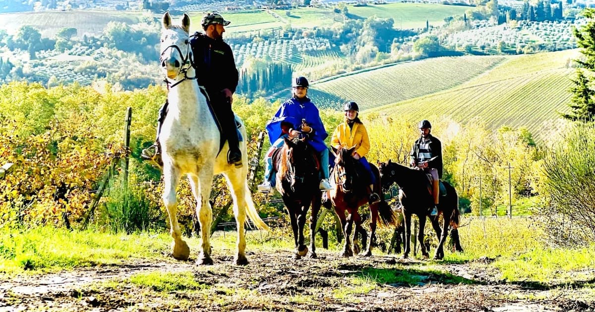 Small Group Tuscan Horseback Riding S.Gimignano Winery Lunch