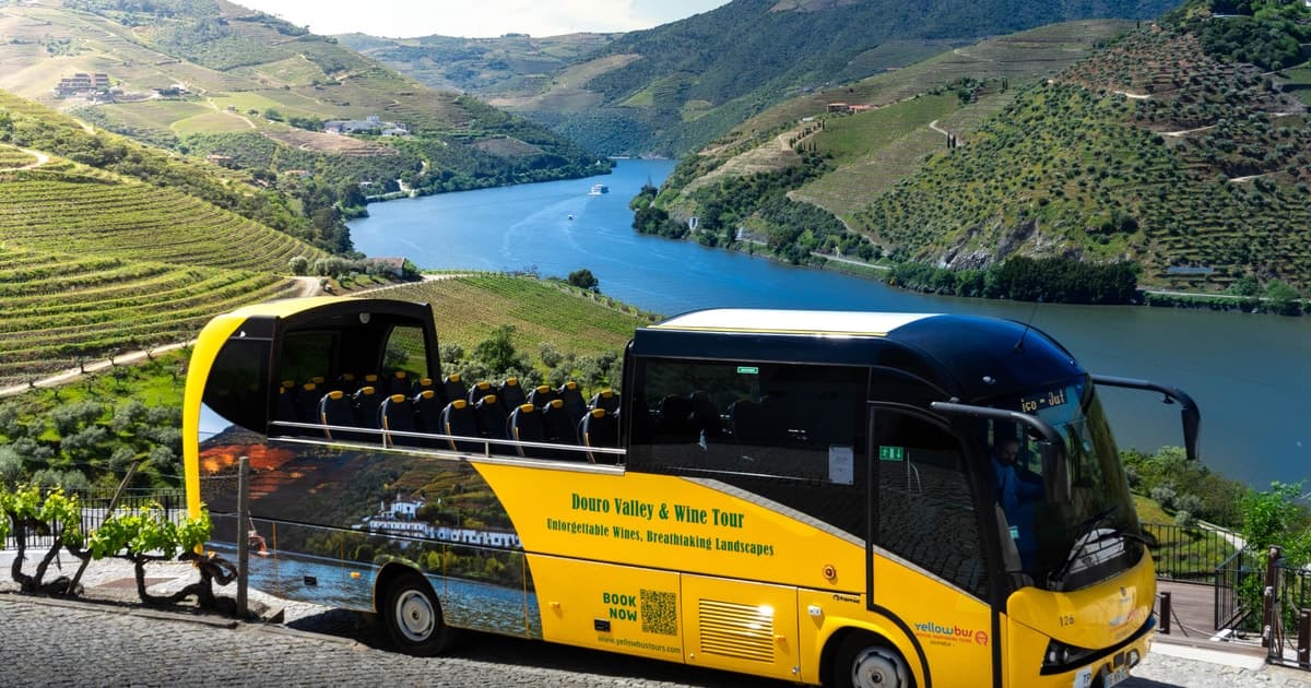 From Porto: Full-Day Douro Valley & Wine Tour with Lunch