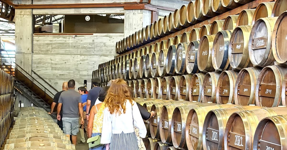 Setúbal: Wine Country Hop-On Hop-Off Bus Tour