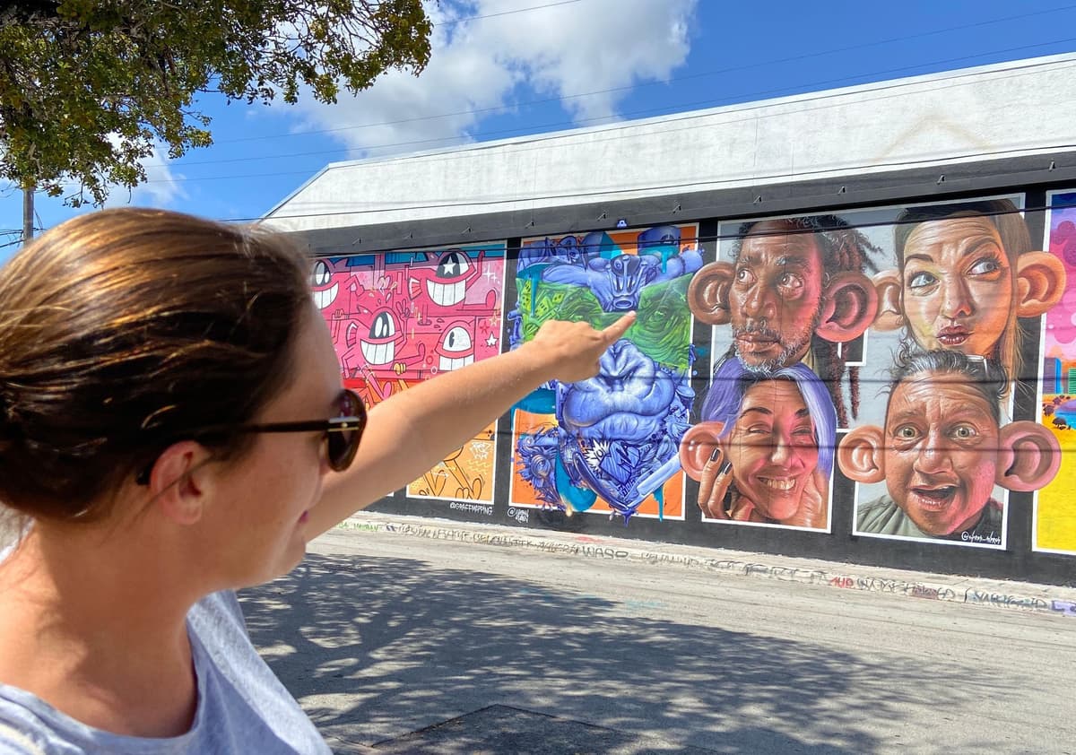 Wynwood walking tour in French (2h)