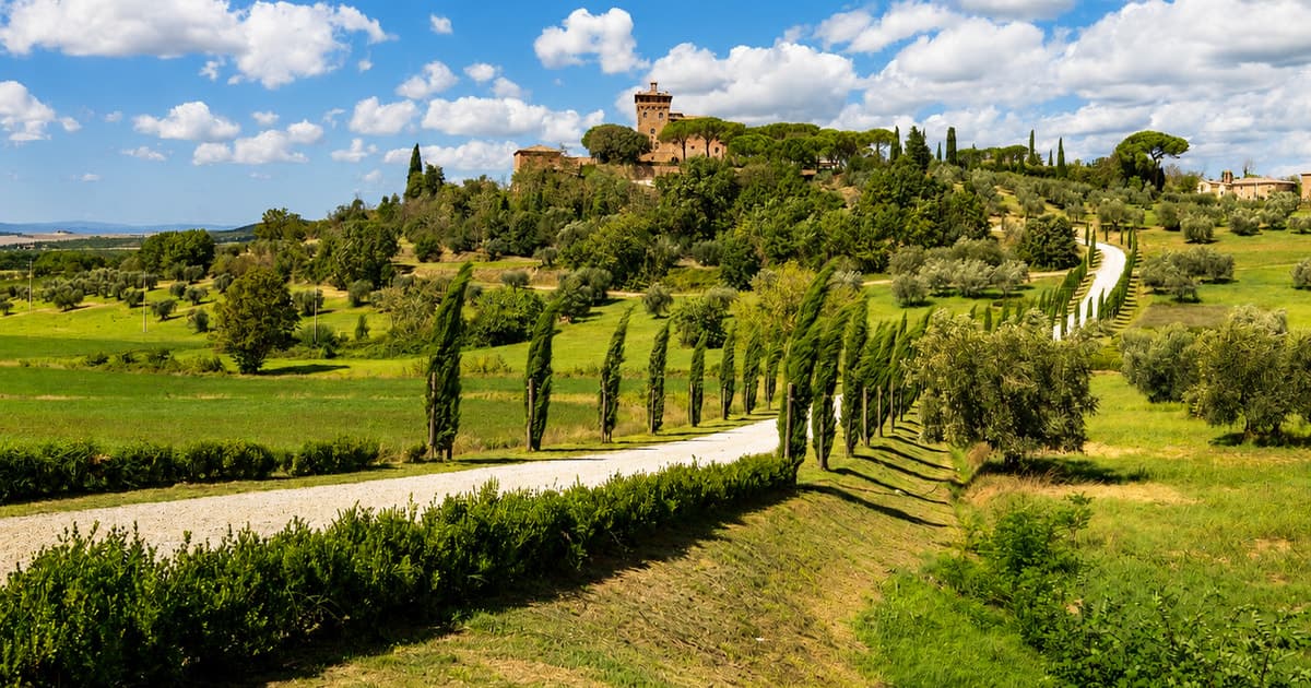 From Florence: Val d'Orcia, Montepulciano & Montalcino
