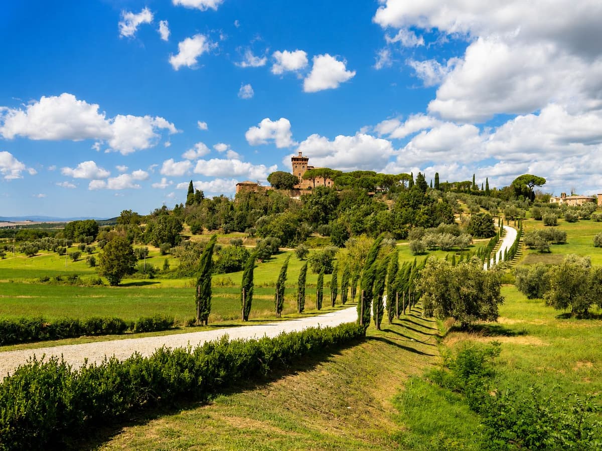 From Florence: Val d'Orcia, Montepulciano & Montalcino