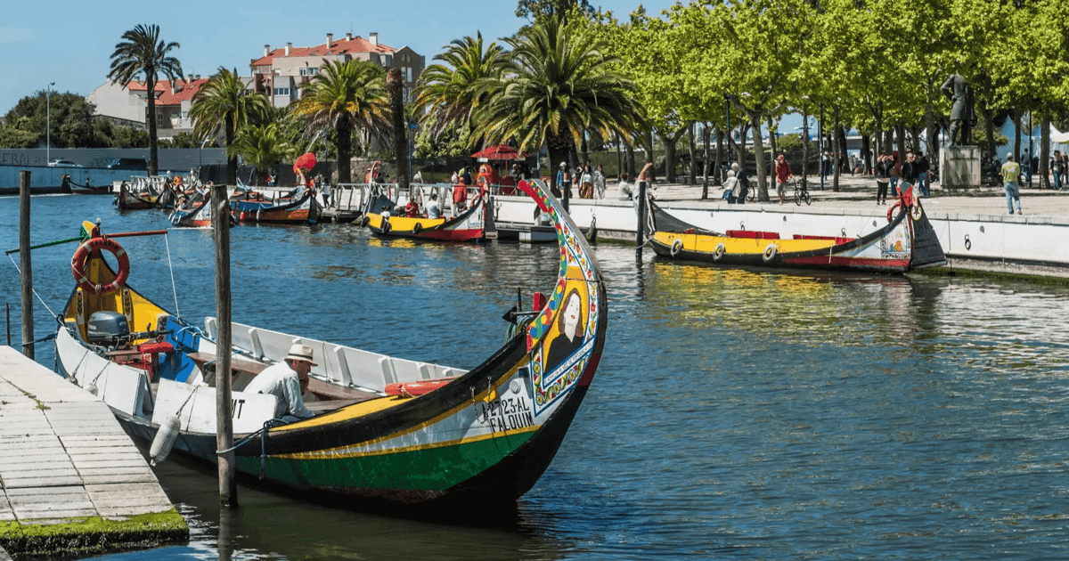 From Porto: Full-Day Trip to Coimbra & Aveiro with Boat Ride