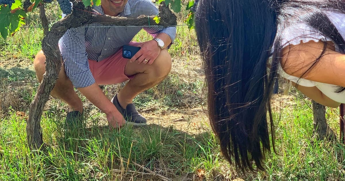 Florence: Brunello Wine Tour with Lunch at the Winery