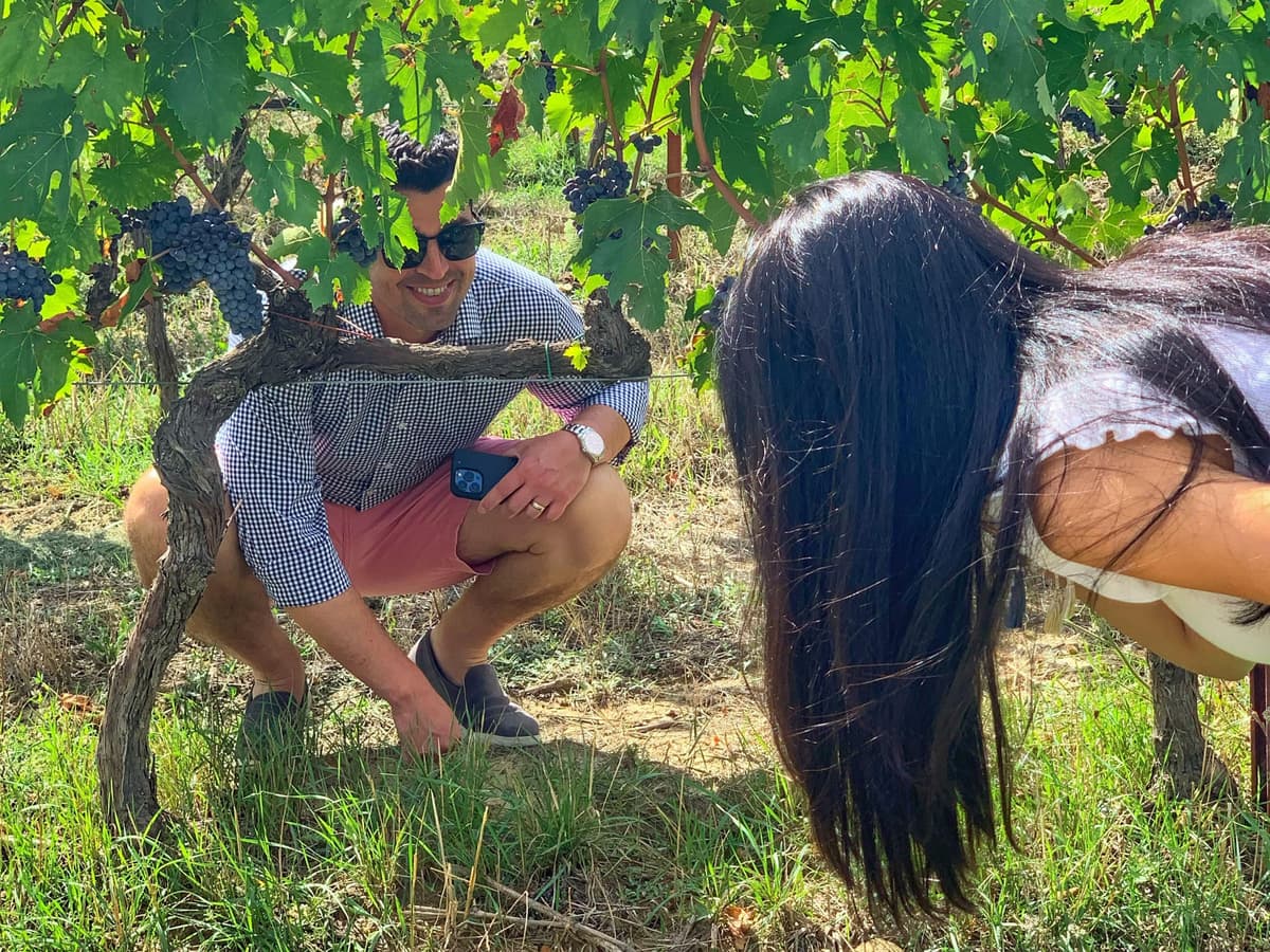 Florence: Brunello Wine Tour with Lunch at the Winery