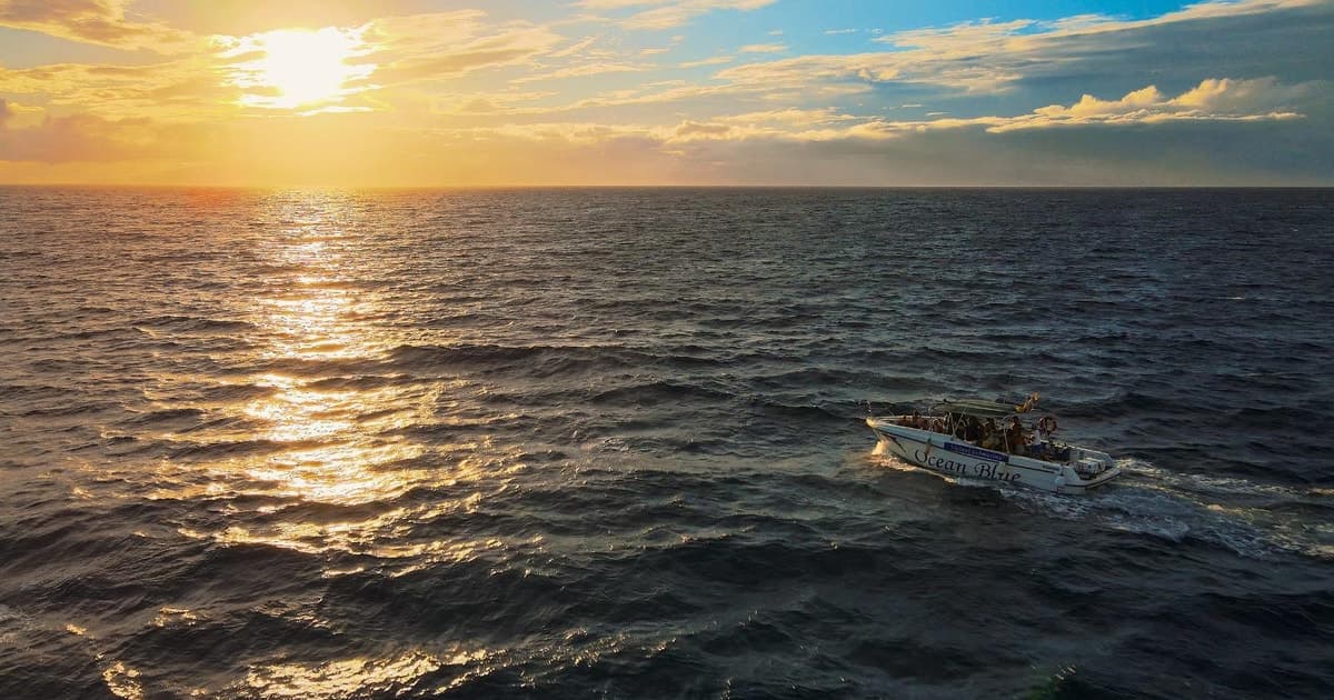 Costa Adeje: excursión en barco para ver ballenas y delfines
