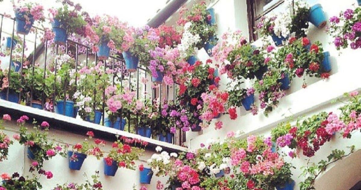 Concurso de Patios de Córdoba: Una experiencia única de flores y tradición.