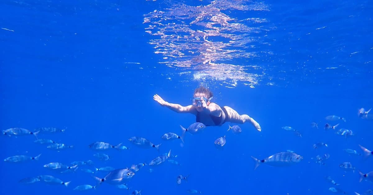 Benidorm: excursión de esnórquel a la isla de Benidorm