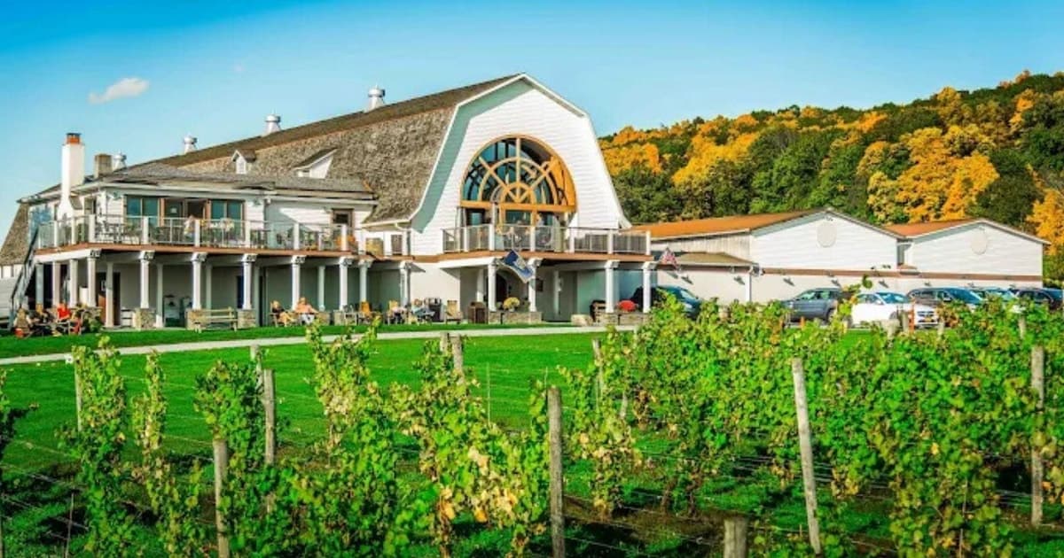 Manhattan: Millbrook Vineyards & Winery Private Tour