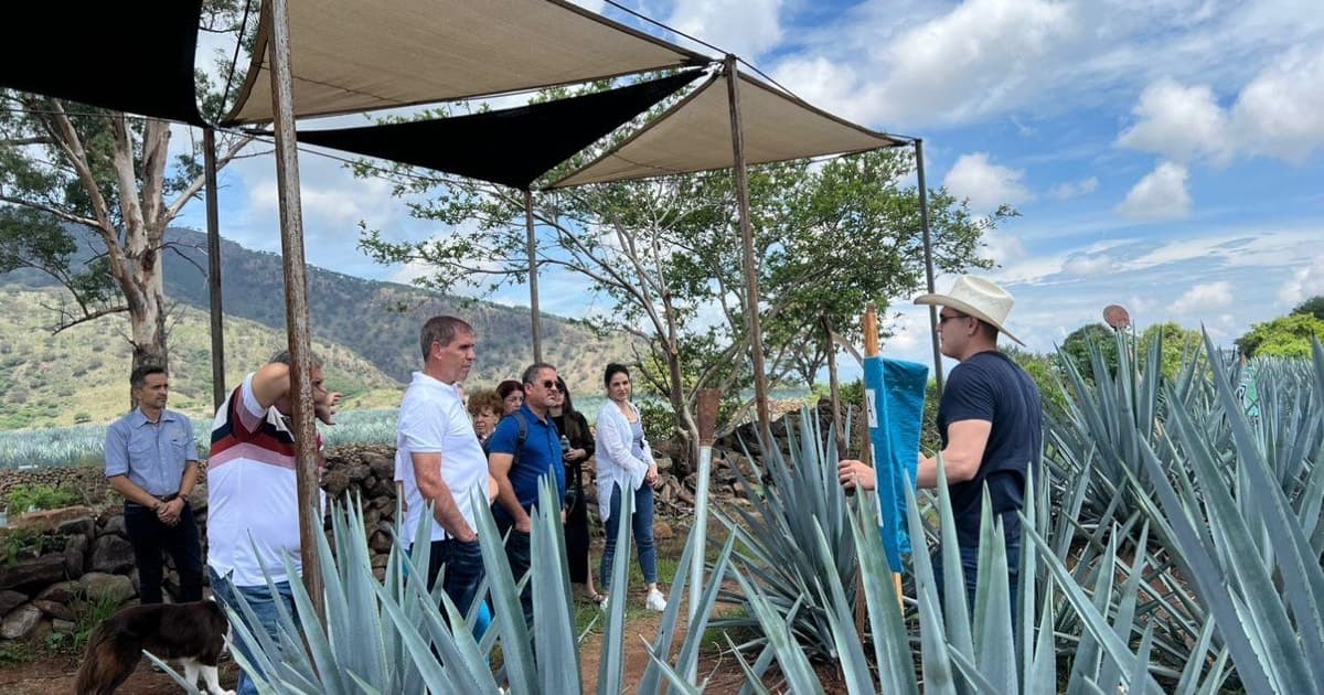 Ruta del Tequila Premium con cata profesional