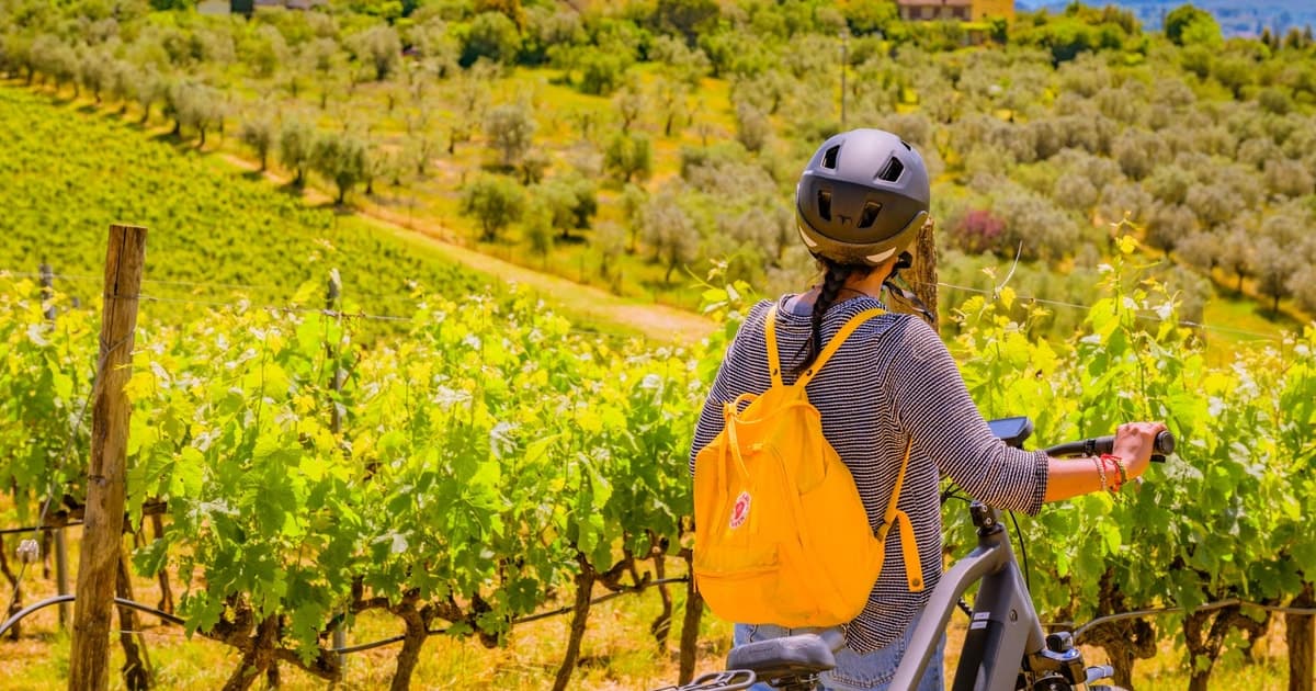 Florencia: Excursión en bicicleta eléctrica por el Chianti con almuerzo y dos catas de vino