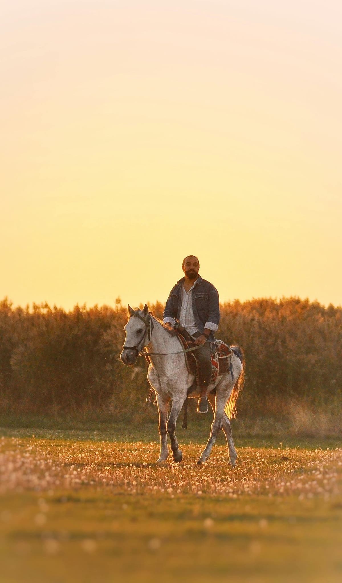 Sevilla: paseo a caballo por el río Guadalquivir