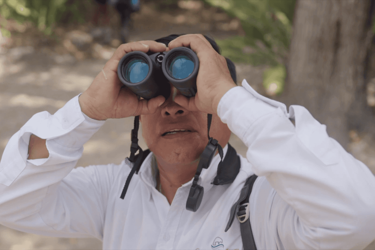 Sian Ka'an: avistamiento de aves y medicina herbal maya