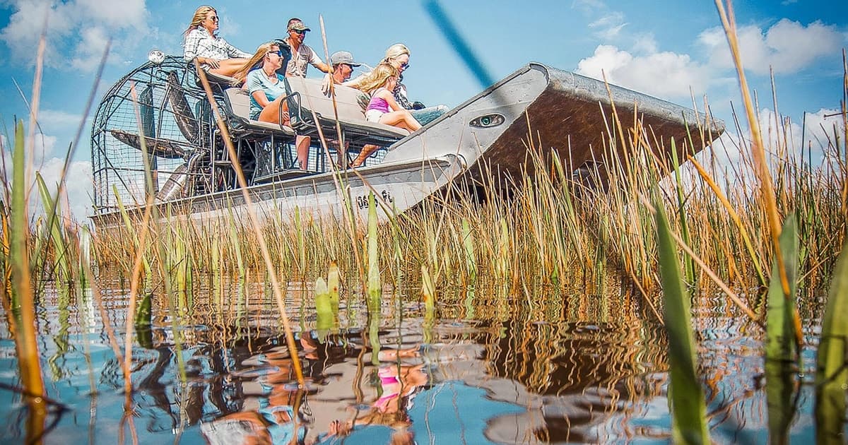 Miami: tour en hidrodeslizador y espectáculo de fauna en los Everglades