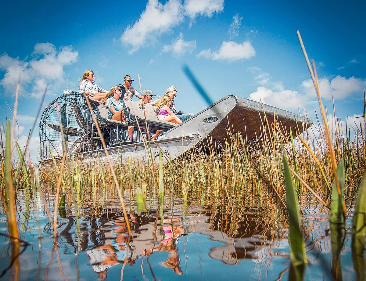 Miami: tour en hidrodeslizador y espectáculo de fauna en los Everglades